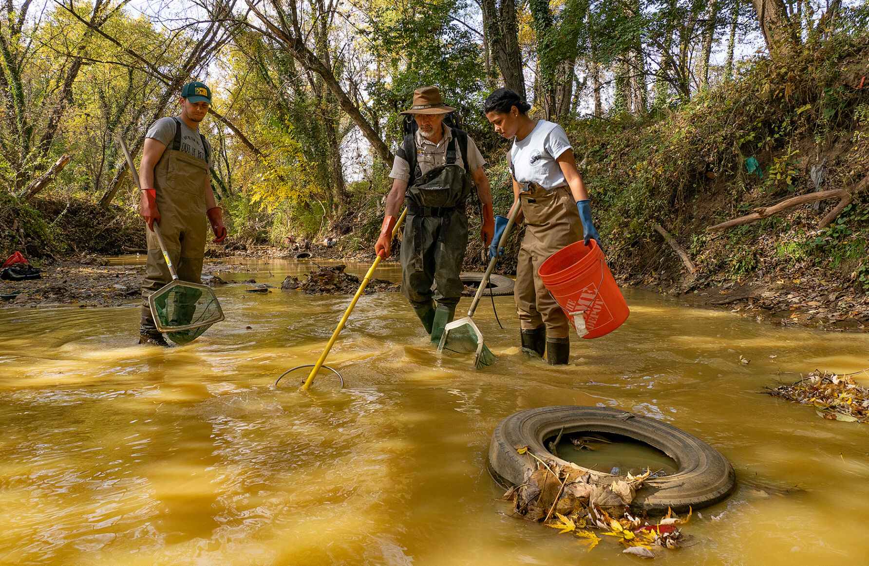 Electrofishing on Beaverdam Creek, MD